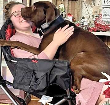 Photo of WALTER  family dog