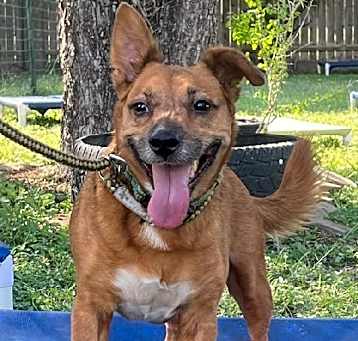 Photo of Auggie
