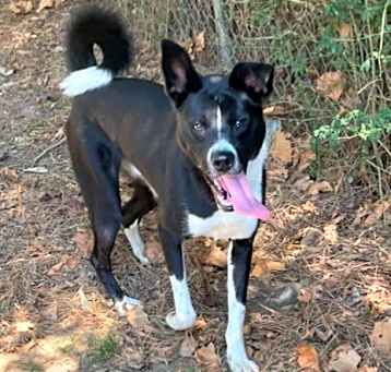Photo of Waylon