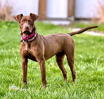 Photo of Coco
