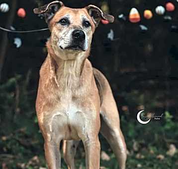 Photo of Galileo