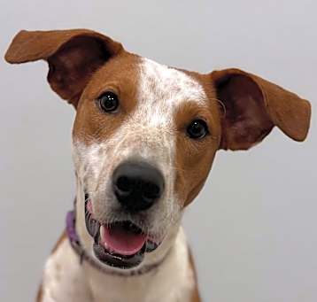 Photo of Ellie