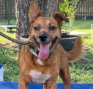 Photo of Auggie1