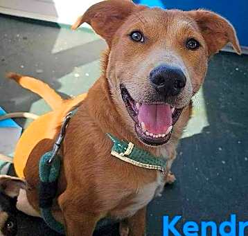 Photo of Kendrick
