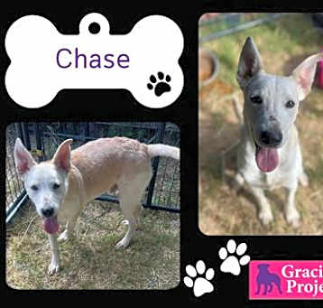 Photo of Chase/Jax