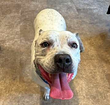 Photo of Max