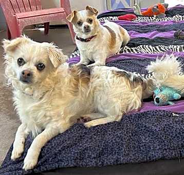 Photo of The Three Amigos