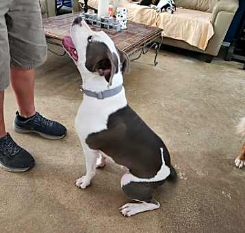 Photo of Bruce