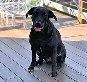 Photo of Kali