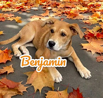 Photo of Benjamin