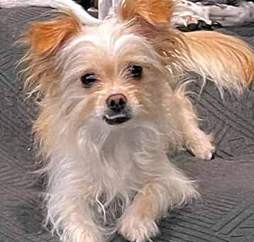 Photo of Lucy