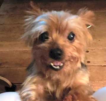 Photo of Breezer