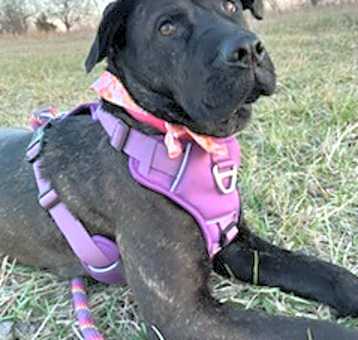 Photo of Enid