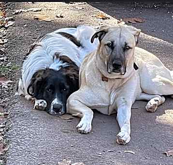 Photo of Rio & River