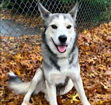 Photo of CUBBY IS A HIKER