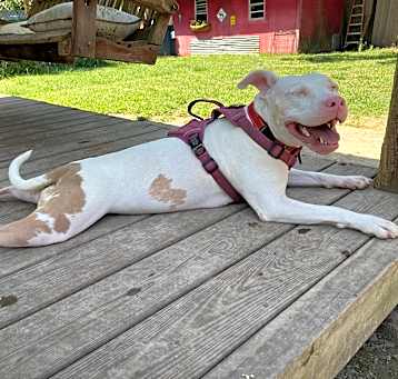 Photo of Hope (MS) NEW PIC!