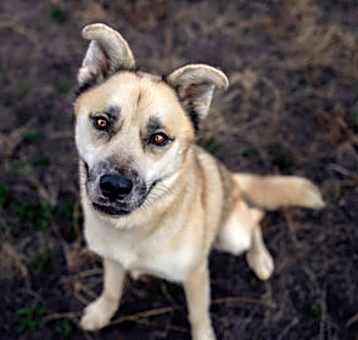 Photo of Tacoma (real name) 403912