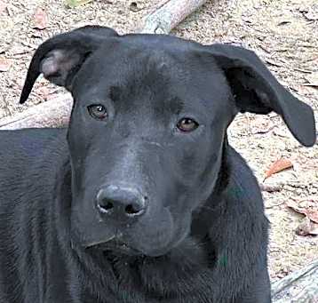 Photo of Gamila