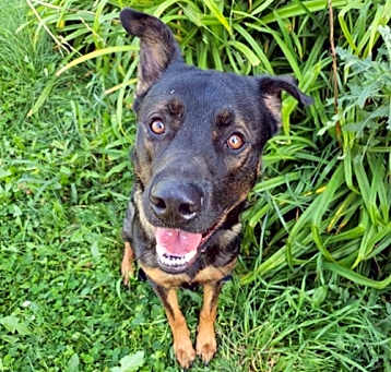 Photo of Jocko