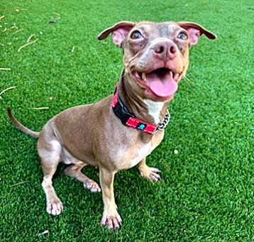 Photo of Cleo