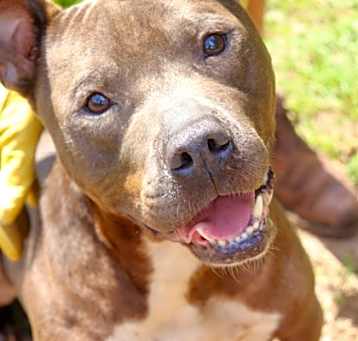 Photo of SMOKEY