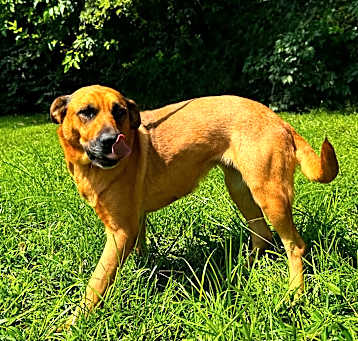 Photo of zippy