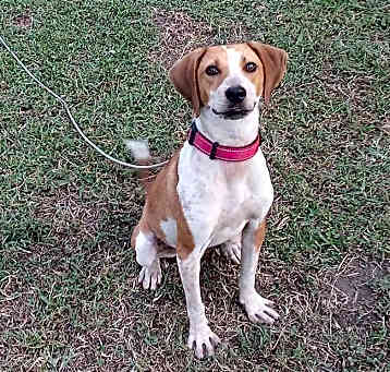 Photo of Bella