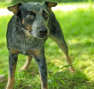 Photo of Orphan Annie