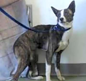 Photo of SPARTA