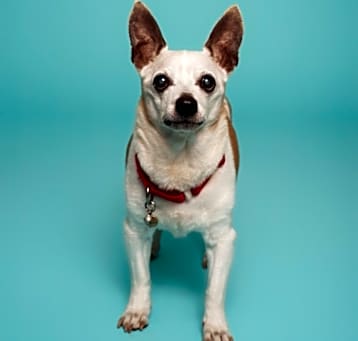 Photo of Oakley
