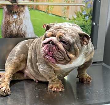 Photo of Harlee