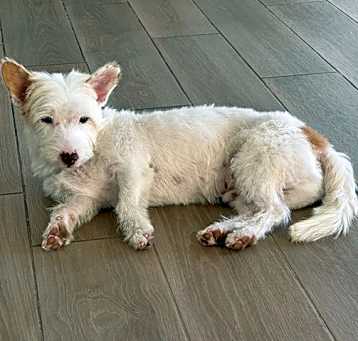 Photo of LOKI