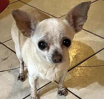 Photo of Zoe
