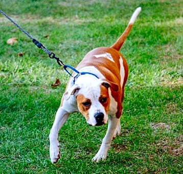 Photo of Penelope