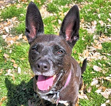 Photo of Lola