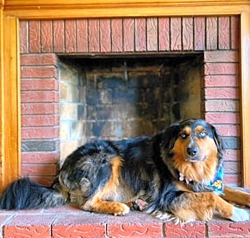 Photo of Brody