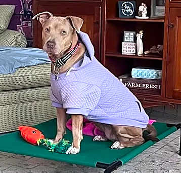Photo of Reese