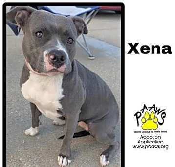 Photo of xena
