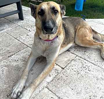 Photo of Maggie