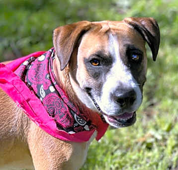 Photo of Bertha