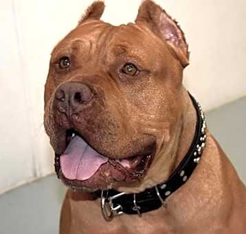 Photo of Magoo