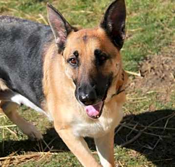 Photo of Mabel