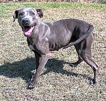 Photo of Marucci