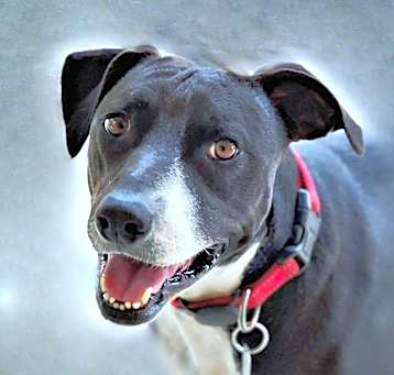 Photo of Mia