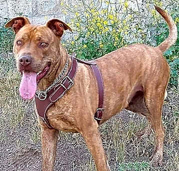Photo of Covi