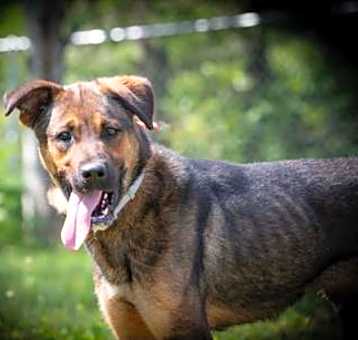 Photo of Zorro