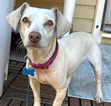 Photo of Abby!