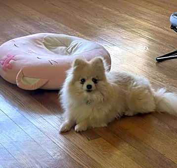 Photo of Precious