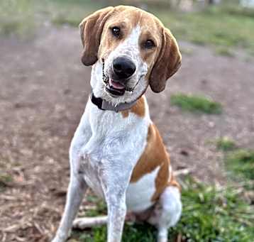 Photo of Super Duper Cooper