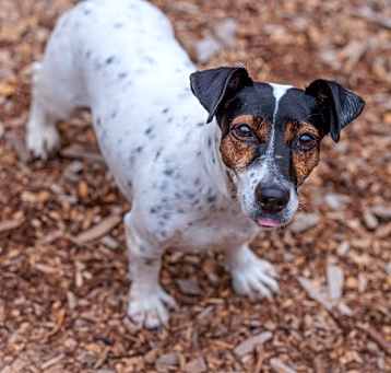 Photo of Esther